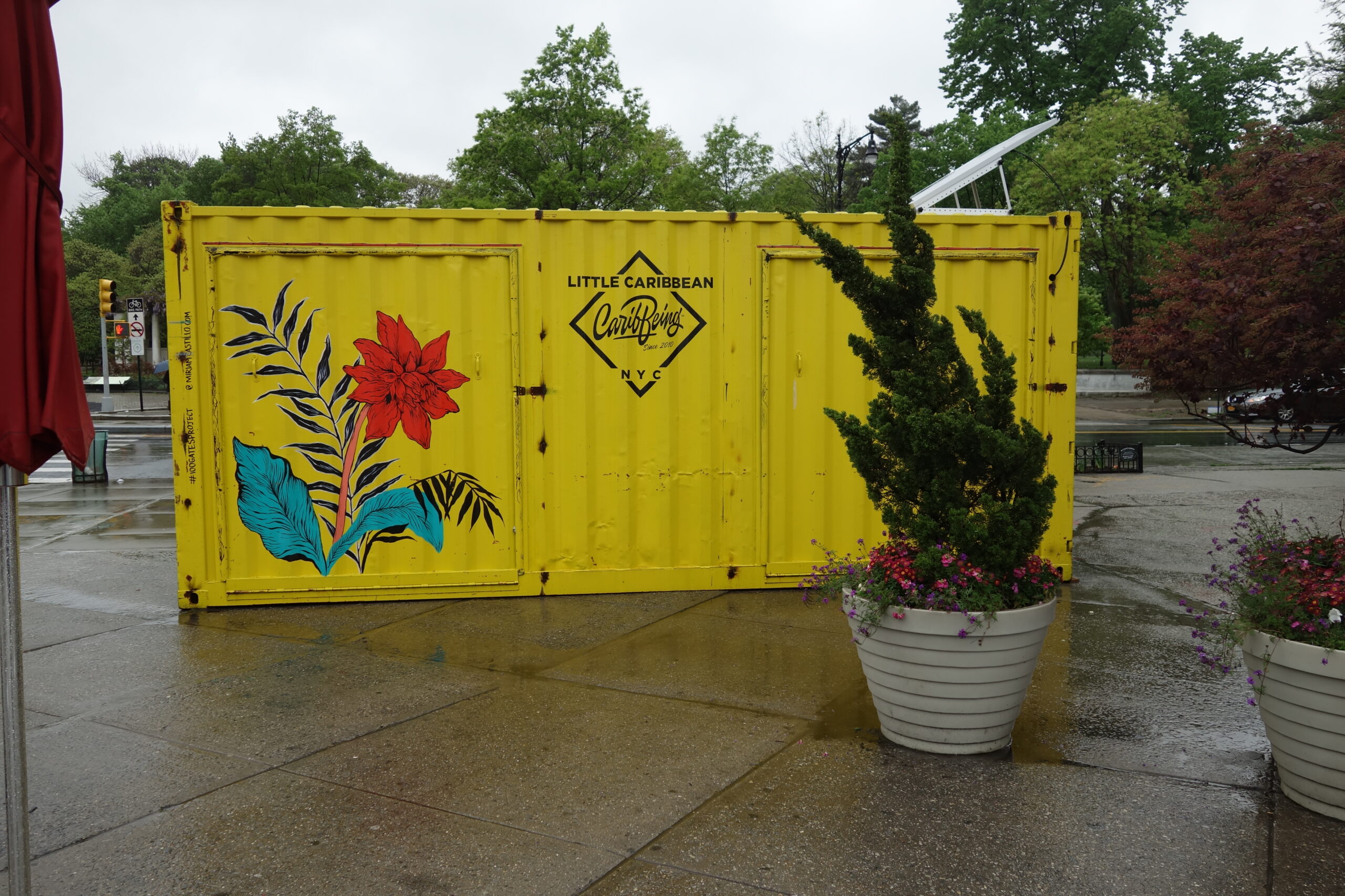Parkside Plaza and Little Caribbean signage in Flatbush, Brooklyn