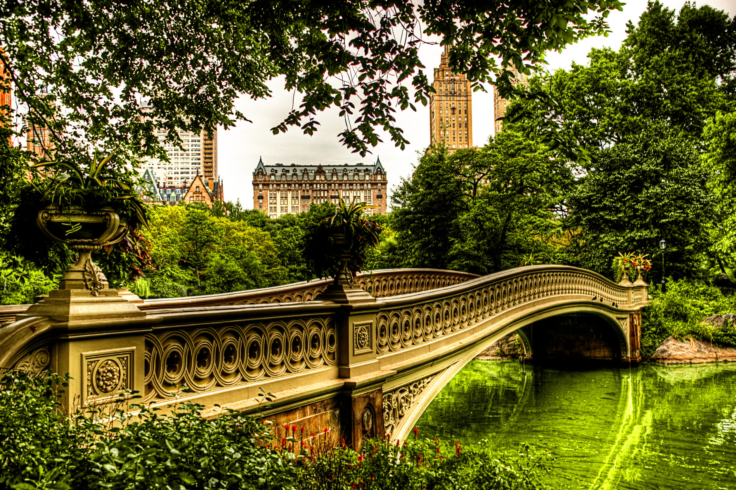 Bow Bridge in Central Park, one of New York City’s most romantic walking routes for couples.
