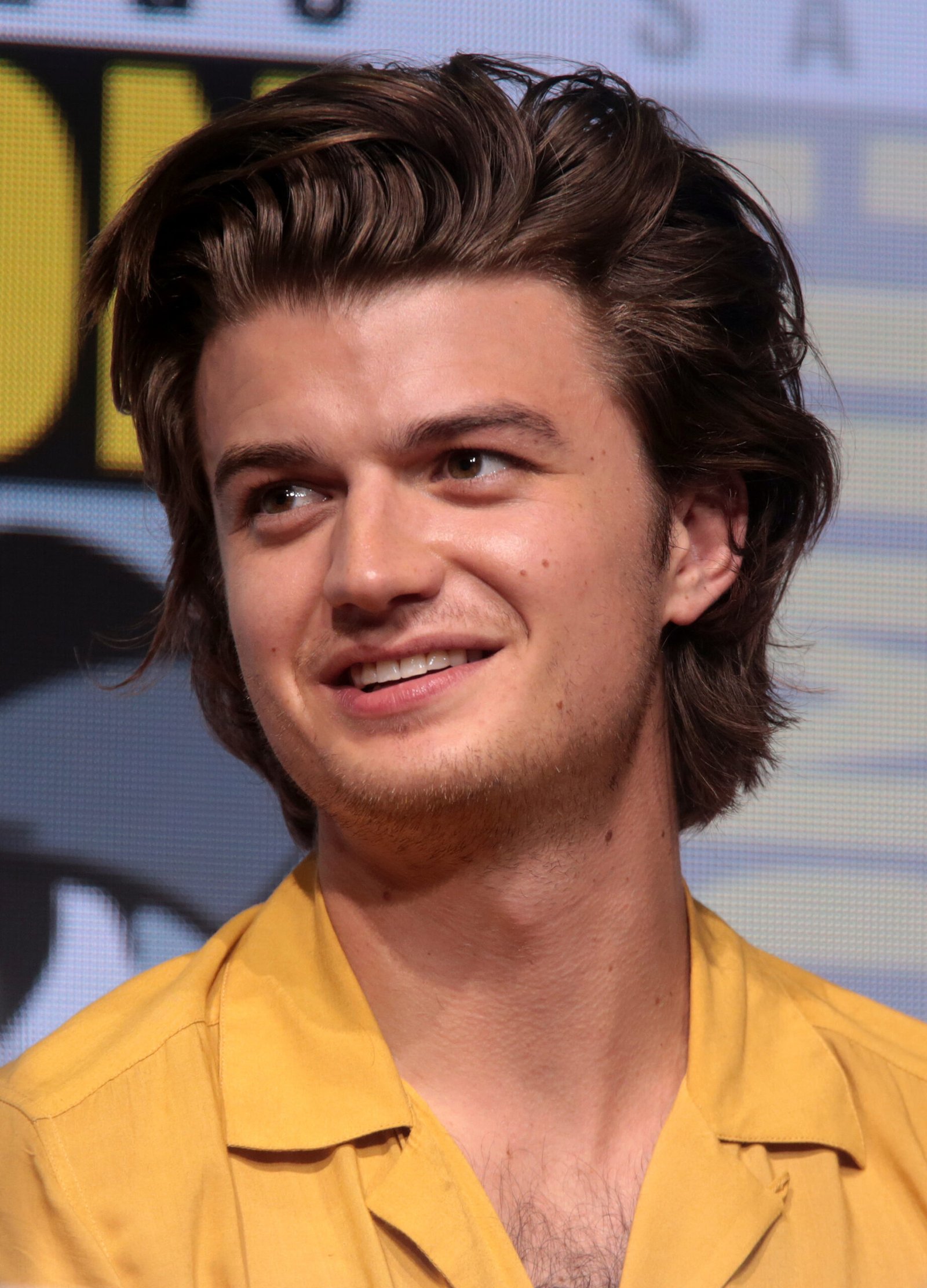 Joe Keery, star of Other Desert Cities on Broadway in 2026