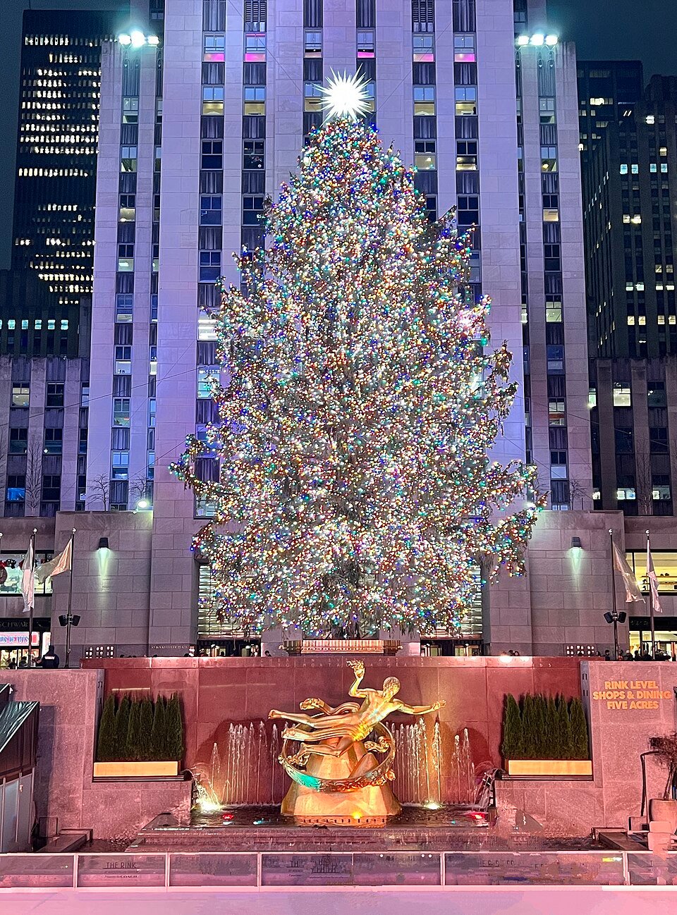 Rockefeller Center Christmas Tree in Midtown Manhattan